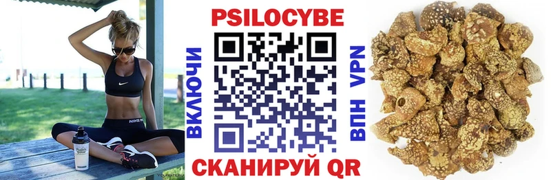 Псилоцибиновые грибы мицелий  Купить закладки  Грозный 